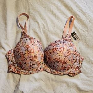 No Boundaries Lace Push Up Bra